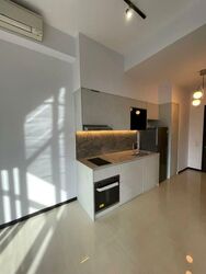 Sims Urban Oasis (D14), Condominium #599249981